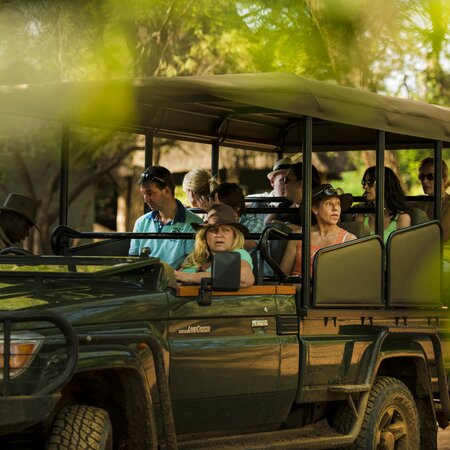 Group trip highlights of Botswana and Victoria Falls