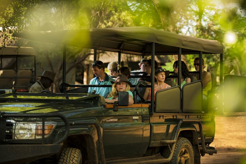 Pontos altos da viagem em grupo de Botswana e Cataratas Vitória