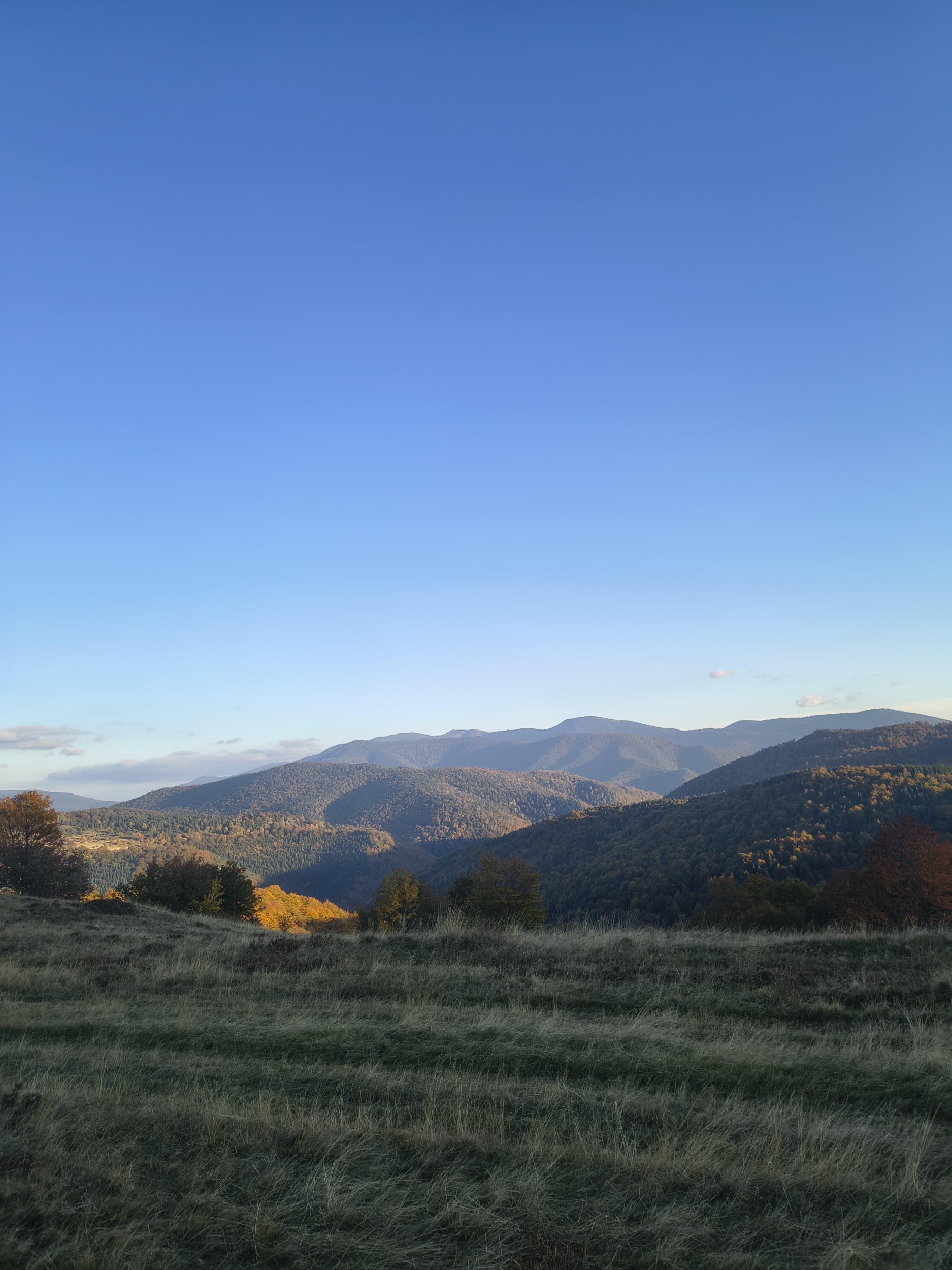 Kozara e piste forestali