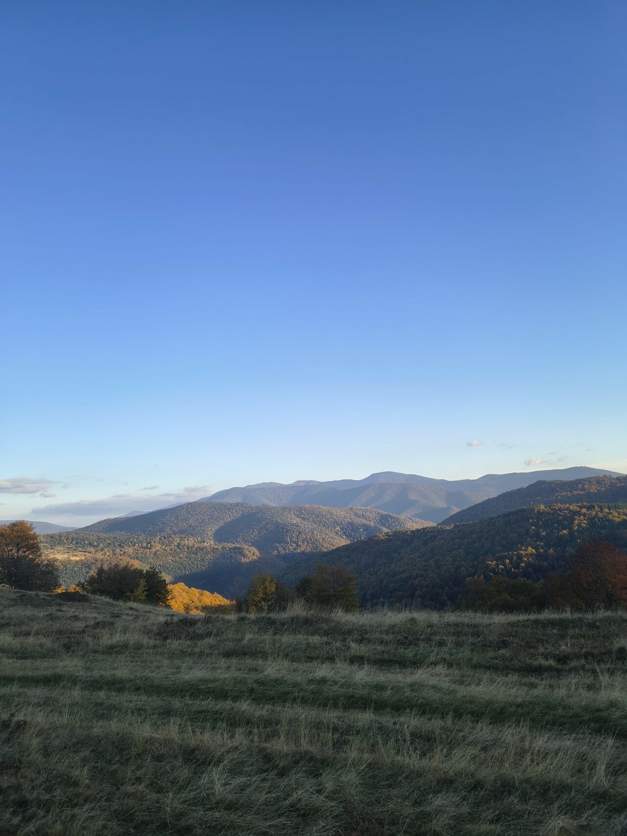 Ein grasbewachsener Bergkamm unter einem klaren blauen Himmel