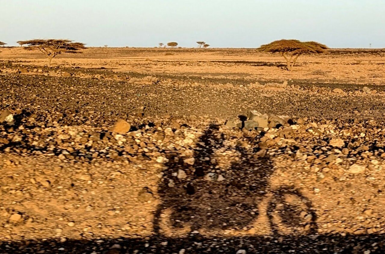 A motorcycle rider's shadow cast across a rocky desert landscape