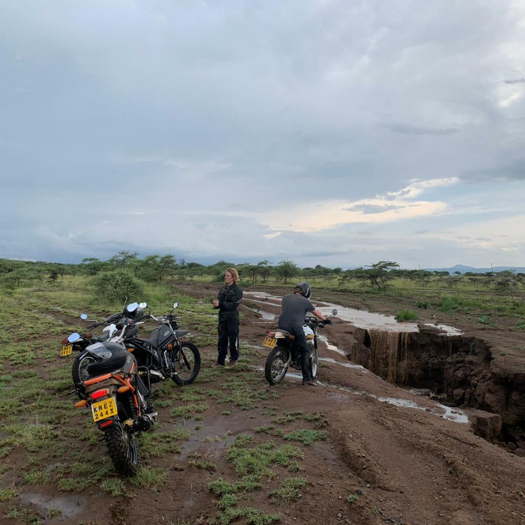 Motorradreisen Afrika Safari Wildtieren beeindruckend