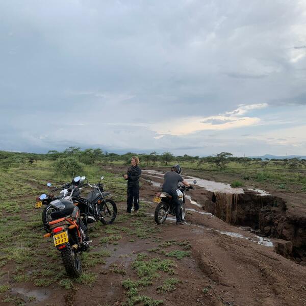Motorradreisen Afrika Safari Wildtieren beeindruckend