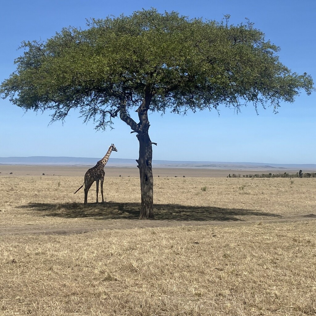 Motorradreisen Afrika Tugen-Hügelland Abenteuer Kultur