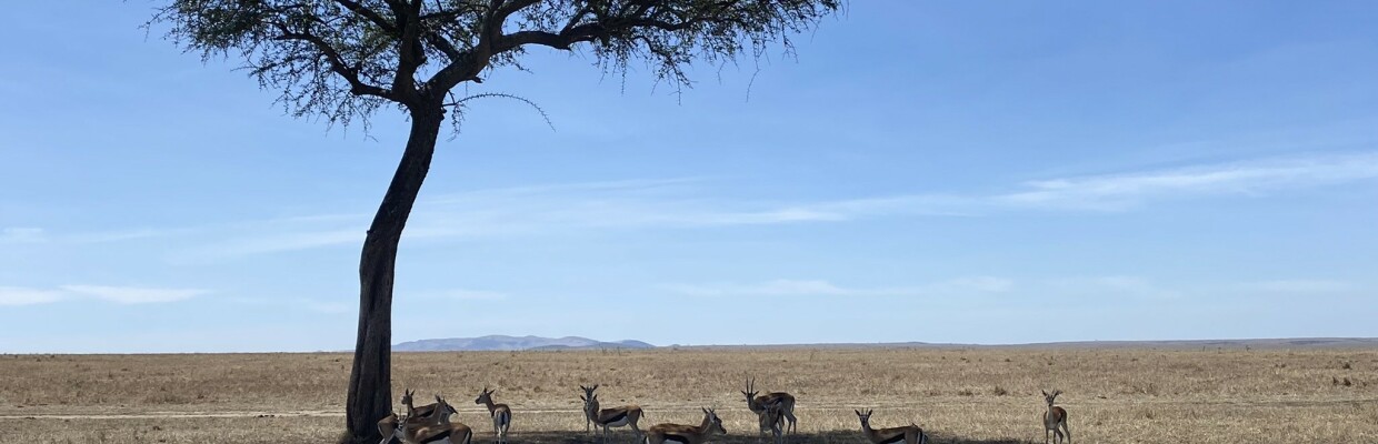 Motorradreisen Afrika, Masaai Mara, Kenia
