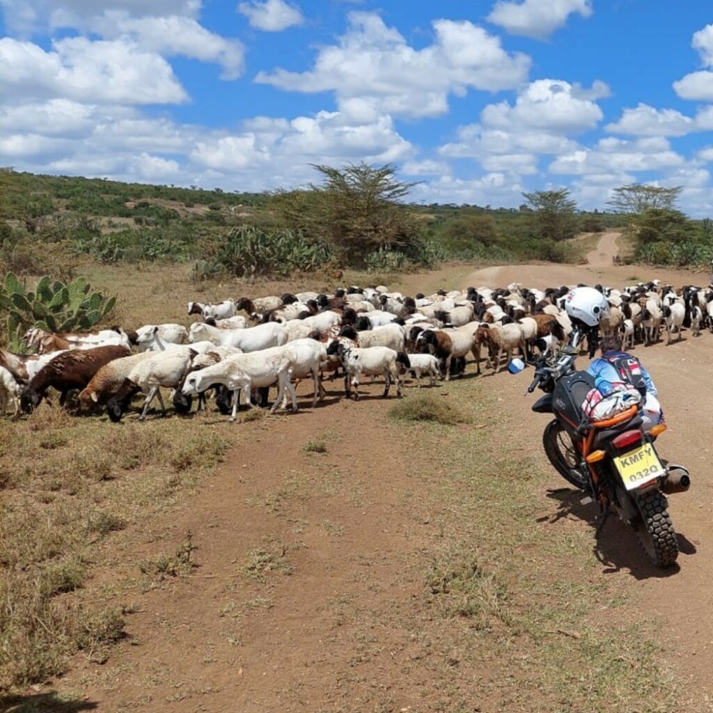 Motorradreisen Afrika Nairobi Aberdare Elefanten