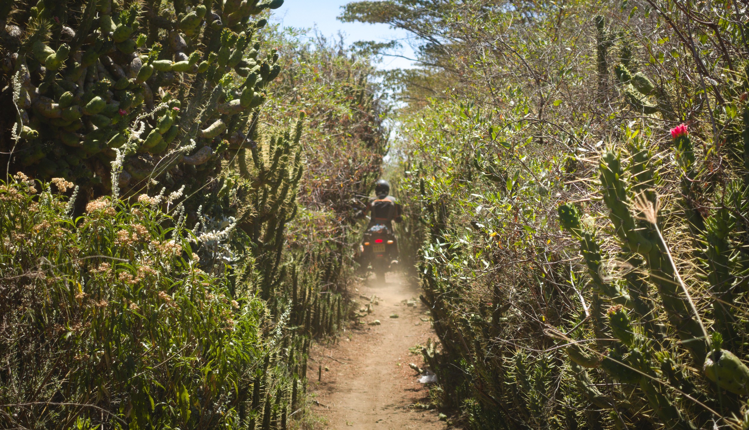 Auf der Enduroreise durch den Busch von Afrika am Mount Kenya