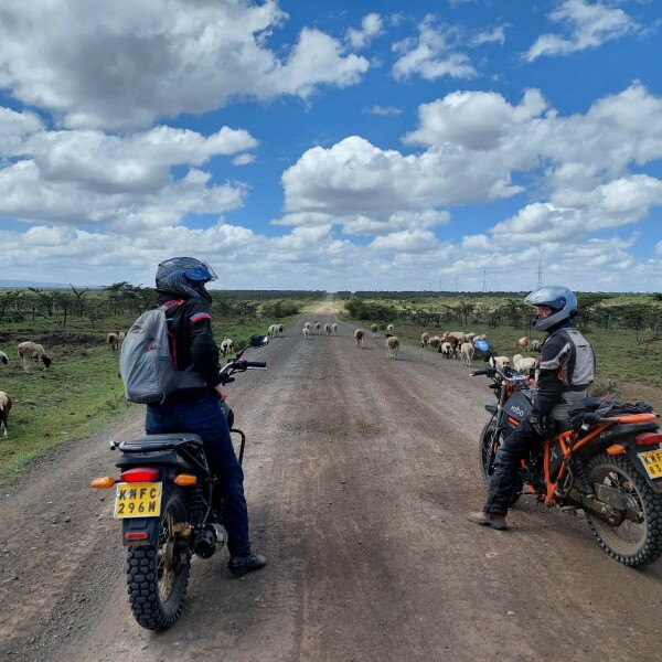 Motorradreisen Afrika Nairobi Abenteuer Safari