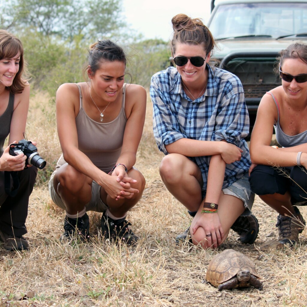 Erlebinsreisen-safari-nomad