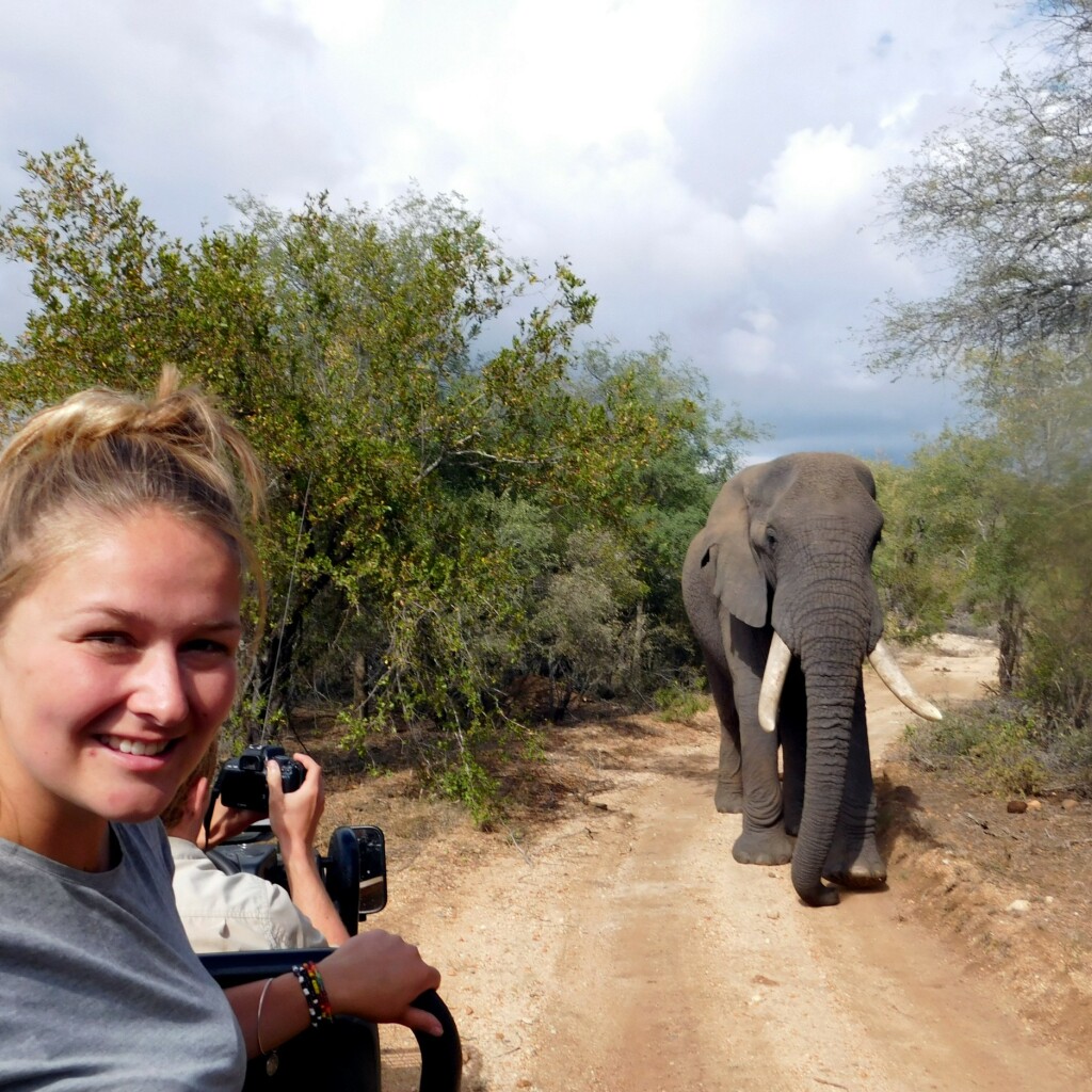 Erlebnis-Reisen Sudafrika Buschabenteuer Safari Überlebenstechniken