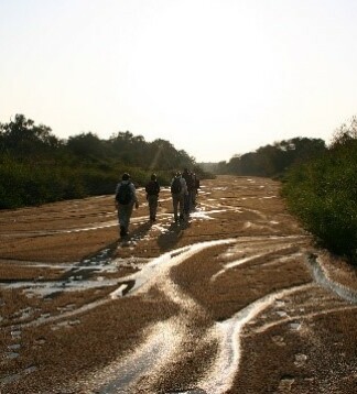 Ökotourismus Safari-Expedition in Südafrika im Krüger