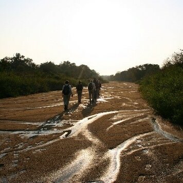 Ecotourism Kruger National Park, community-based