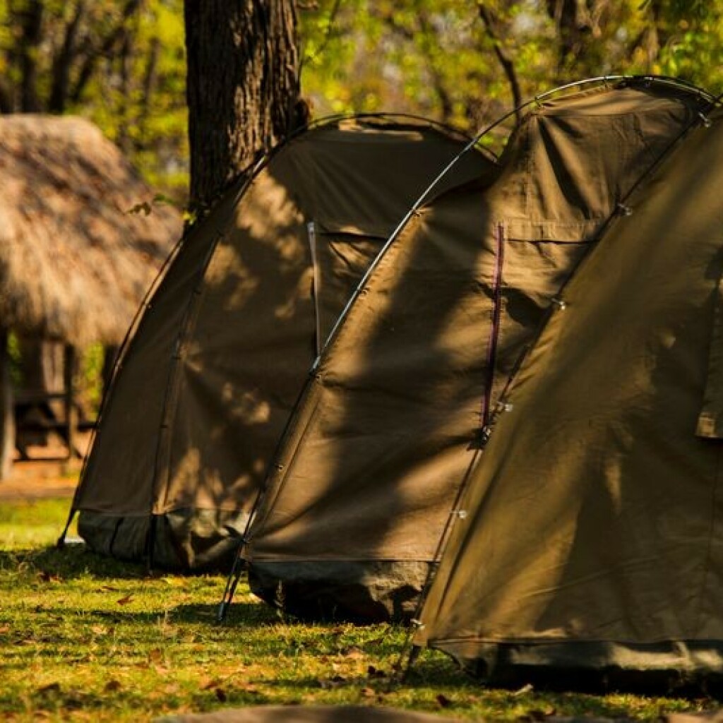 Erlebnis-Reisen Afrika Maun Safaritour Natur