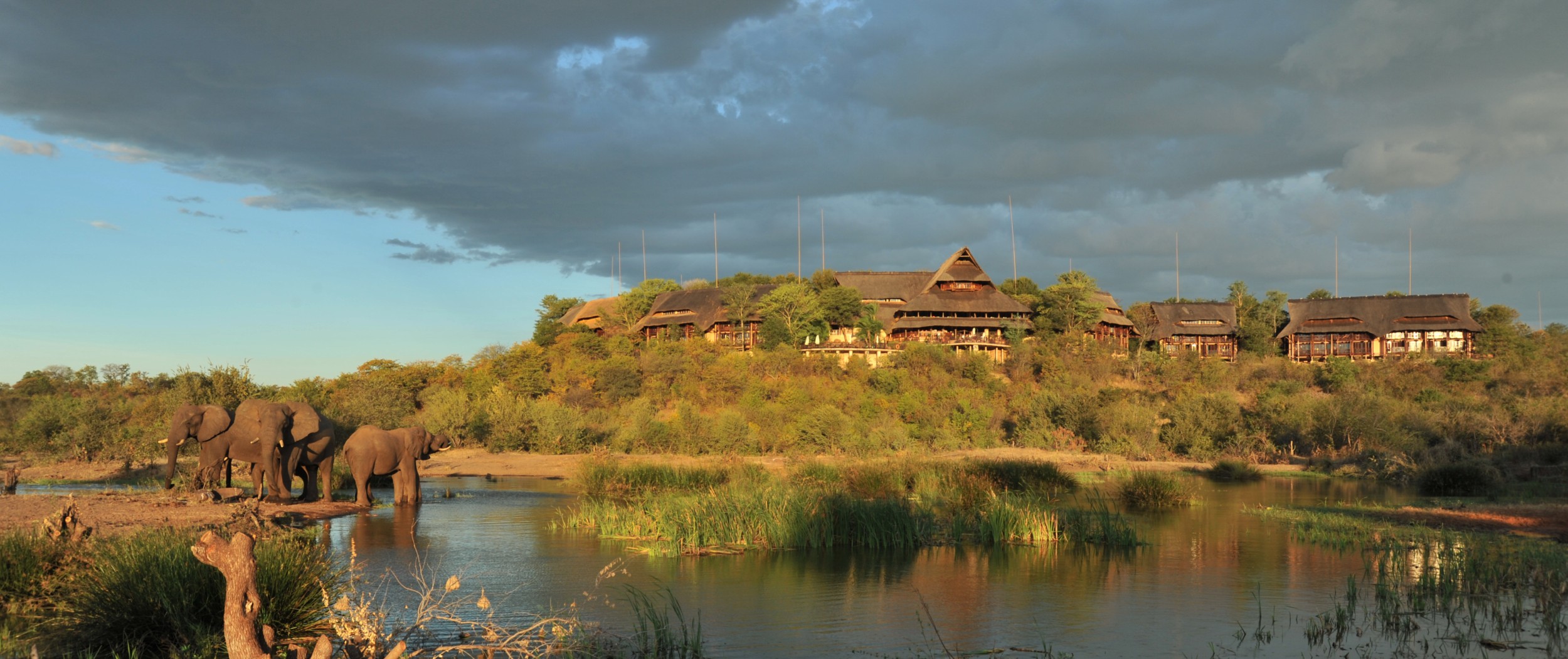 Elefanten am Wasserloch vor der Safari Lodge