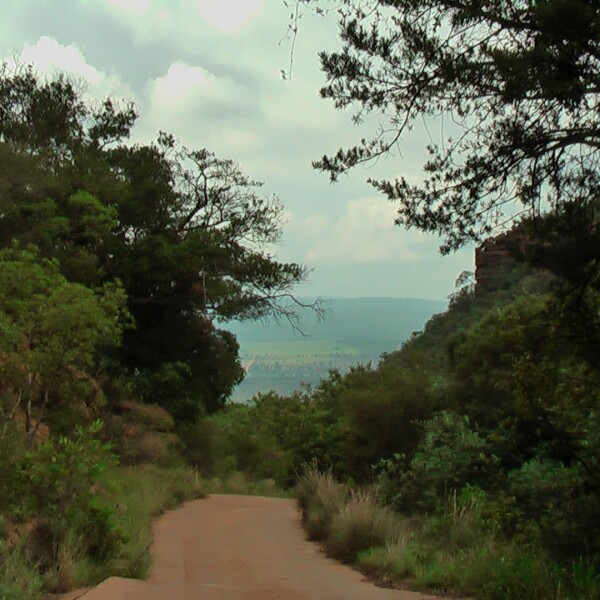 Motorradreisen Kenia König Hlane Nationalpark Giraffen