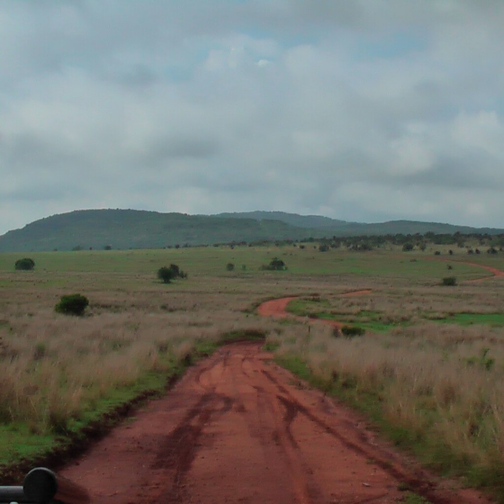 Motorradreisen Afrika Elefanten Löwen Landschaft