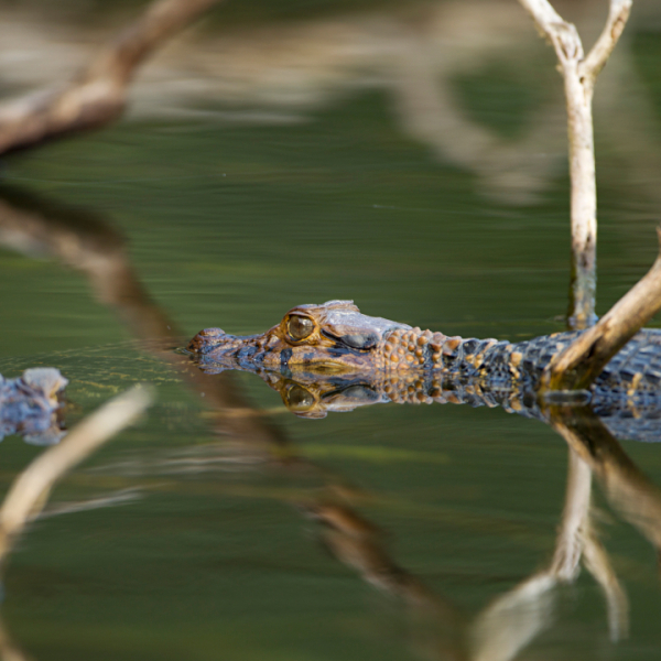 Motorradreisen Bolivien Abholung Hotel Santa Cruz