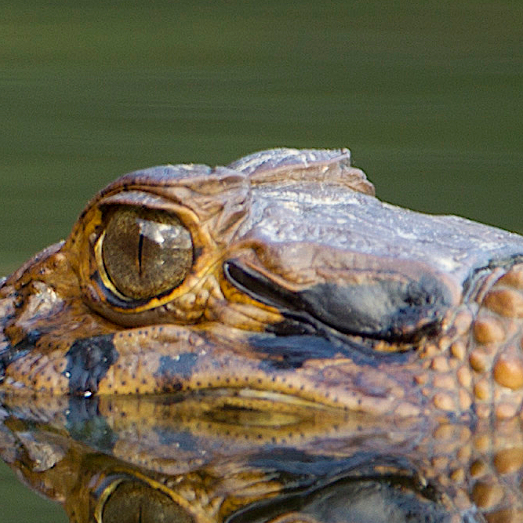 Amazonia Motorradreise durch Bolivien