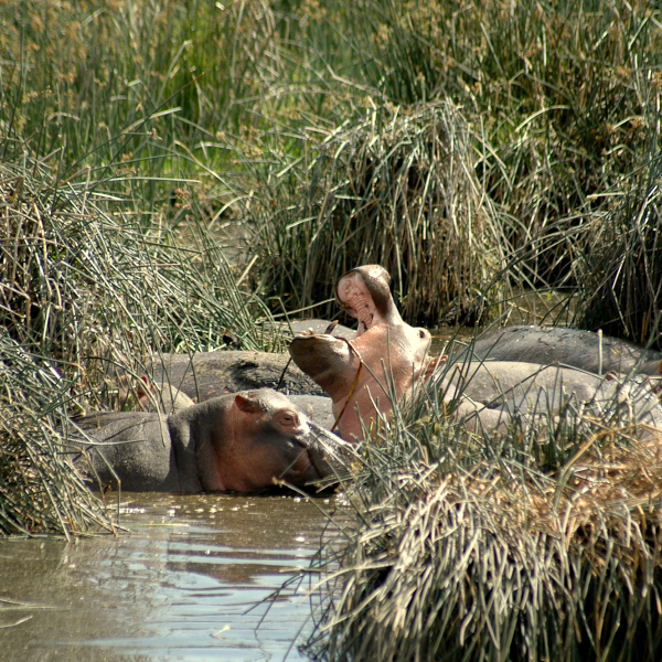 Motorradreisen Afrika Uganda Nilquelle Nachtleben