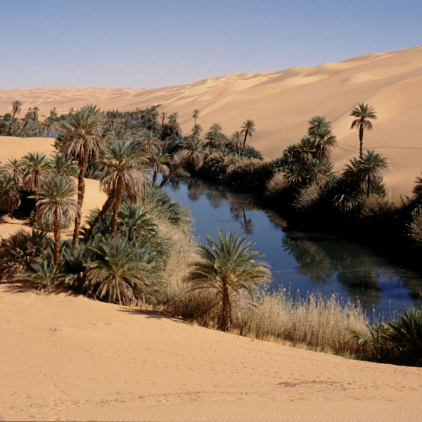 Motorradreisen Libyen Sahara Dünen Strapazen