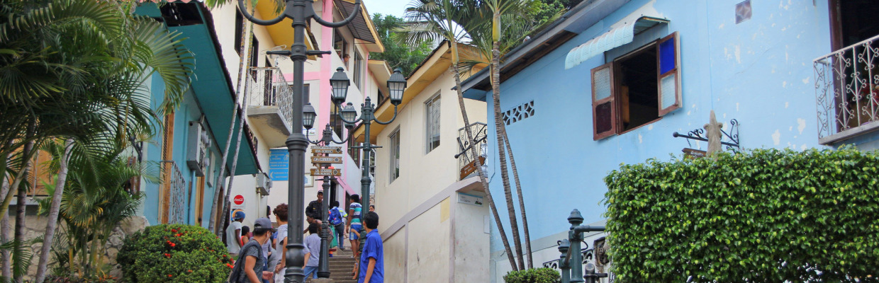 Erlebnis-Reisen Ecuador, Vulkane, Anden