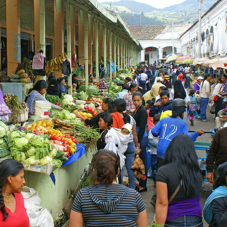 Ecuador Rundreise zwischen Anden, Amazonas und Galapagos