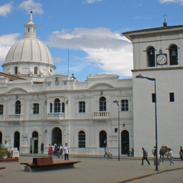 Gallery Image 8