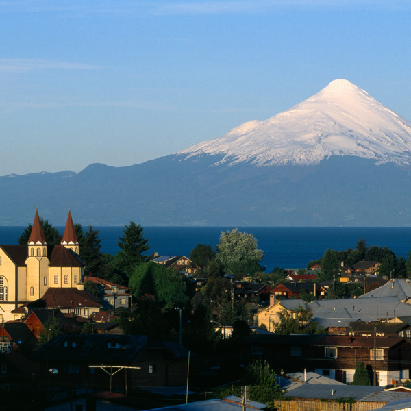Erlebnis-Reisen Argentinien Ushuaia Vegetation Katamaran