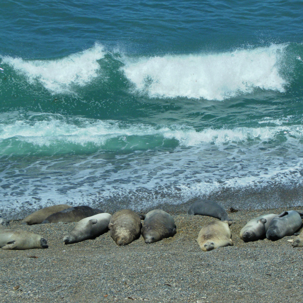 Erlebnis-Reisen Argentinien Machu Picchu Aguas Calientes Besichtigung