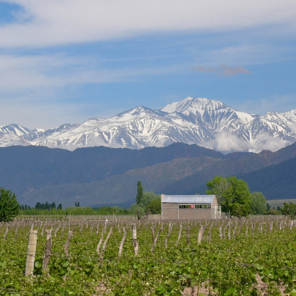Erlebnis-Reisen Argentinien Mendoza Nachtleben Sehenswürdigkeiten