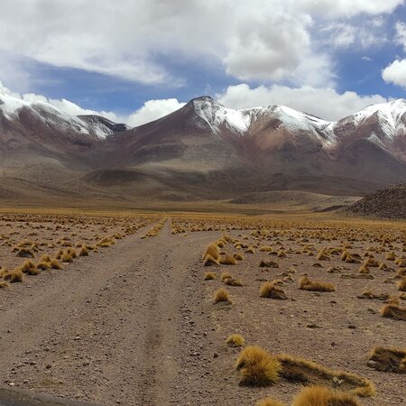 Bolivia