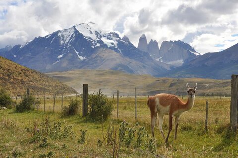 Motorradreisen in Chile: von der Atacama bis Patagonien