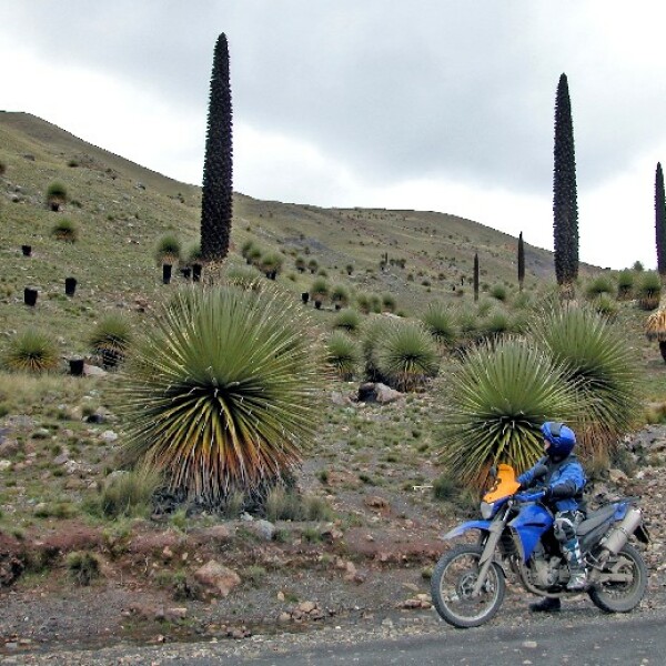 Motorradreisen Suedamerika Canyon Berglandschaften Anden