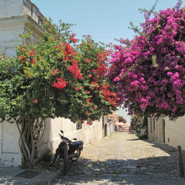 Erlebnis-Reisen Argentinien Buenos Aires Tigre Delta