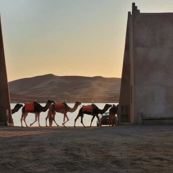 Morocco Enduro tour: MT 007 Day’s Spectre trip through Atlas & Sahara