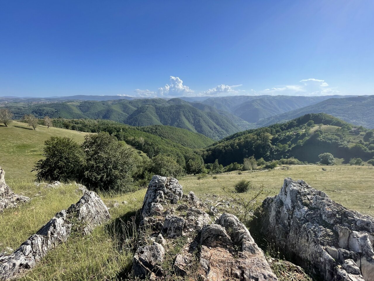 Luxueuze Premium-reis door de Karpaten - Roemenië
