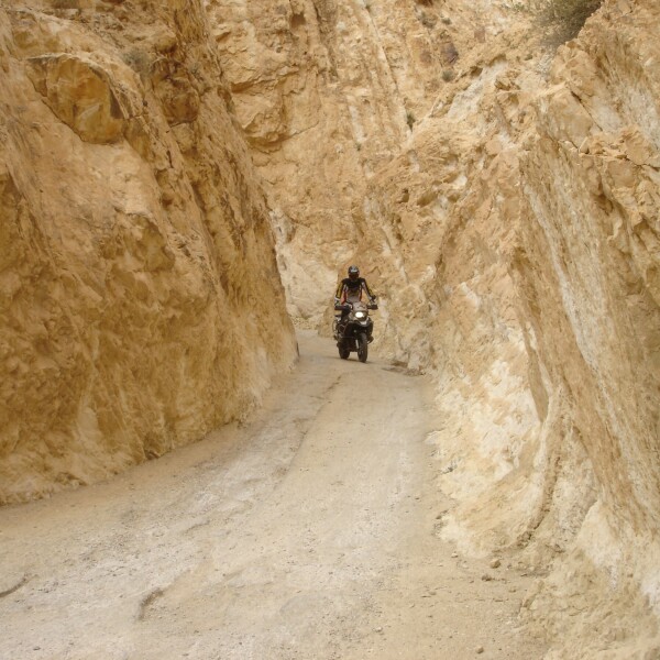 Motorradreisen Tunesien Sahara Zeltlager Palmerie