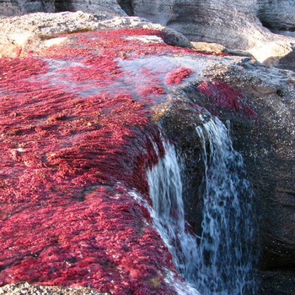 Erlebnis-Reisen Kolumbien Bogotá Besichtigung Höhe