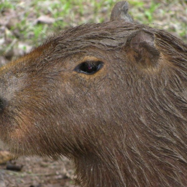 Erlebnis-Reisen Kolumbien Kaffeefarm Besuch Produktionsprozess
