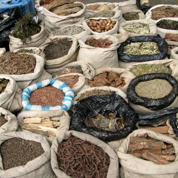 Erlebnis-Reisen Kolumbien San Agustín Archäologischen Skulpturen