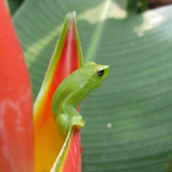 Erlebnis-Reisen Kolumbien Popayan Stadt Stadtrundgang