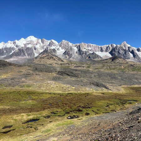 Altiplano, lac Titicaca et Colca Canyon