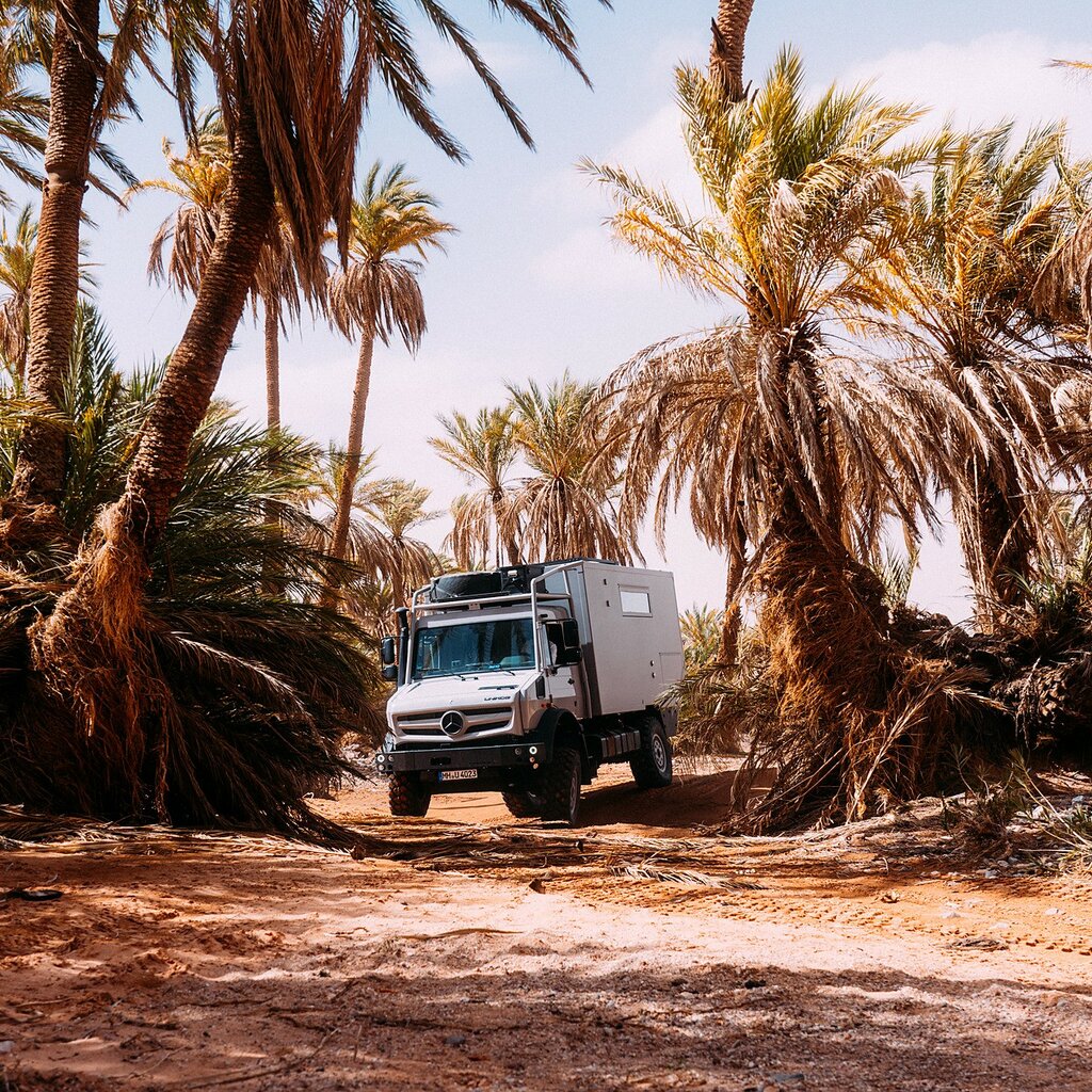 Día 10: Ksar Ghilane, un día en el oasis