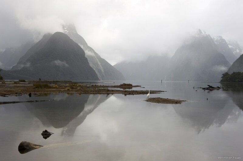 New Zealand Experience Tours - From Auckland to Queenstown