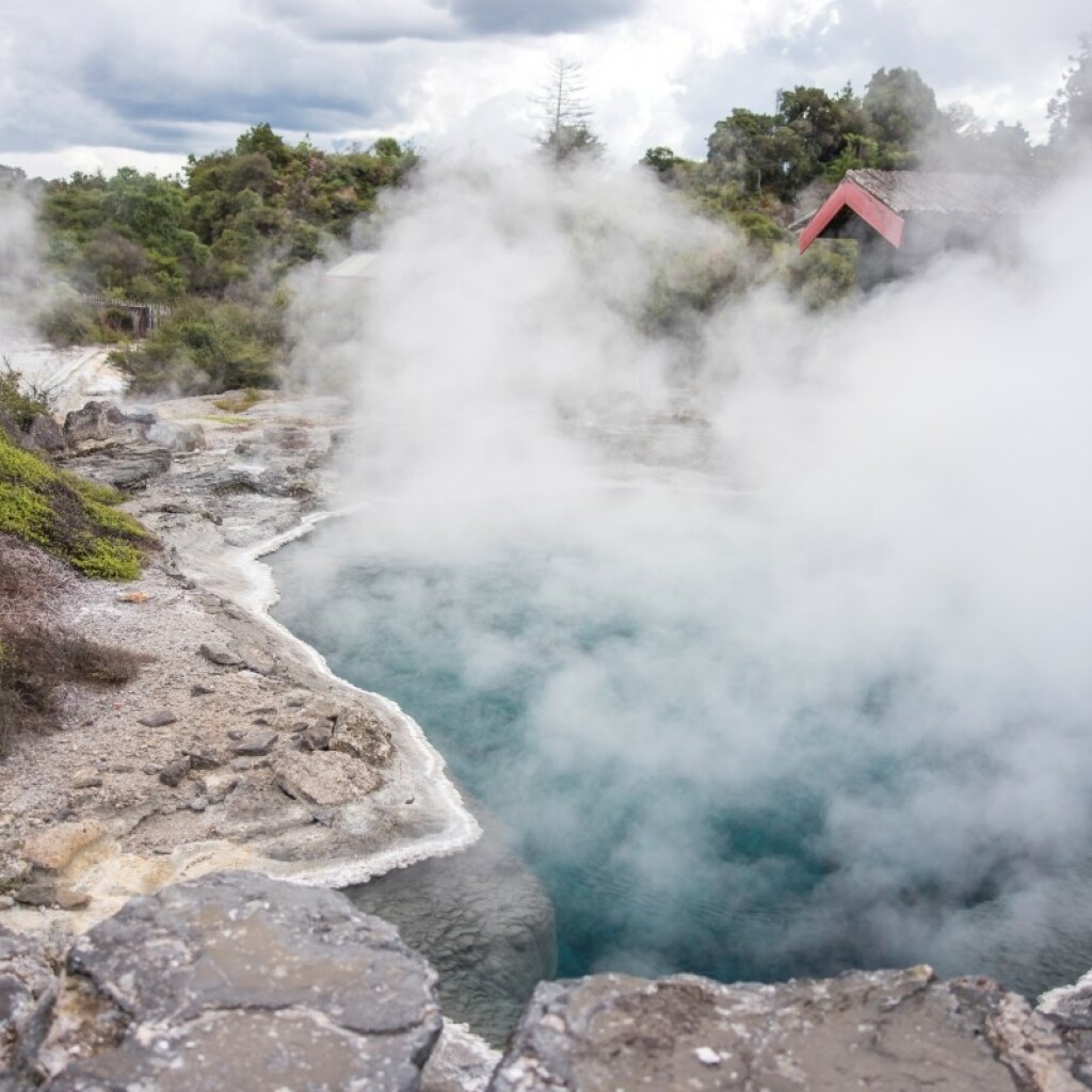 Erlebnis-Reisen Neuseeland Rotorua Hāngī-Dinner leuchtenden