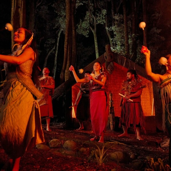 Erlebnis-Reisen Neuseeland Picton Walbeobachtung Abenteuerreise