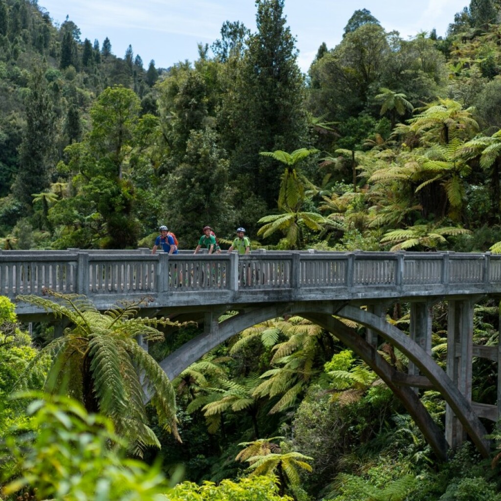 Erlebnis-Reisen Neuseeland Auckland Zugang Stadtzentrum