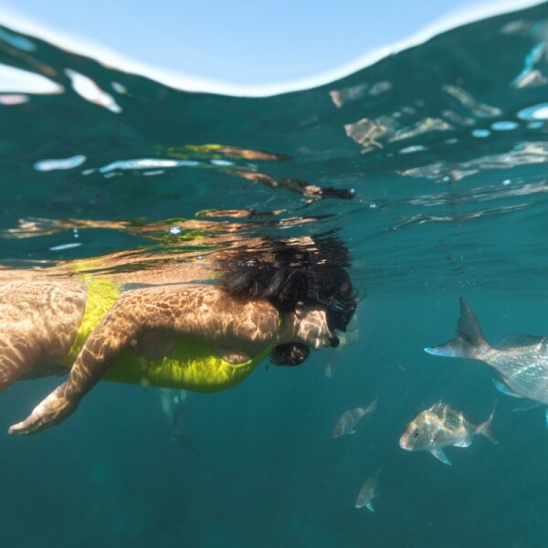 Erlebnis-Reisen Neuseeland Matakohe Kauri Museum Geschichte