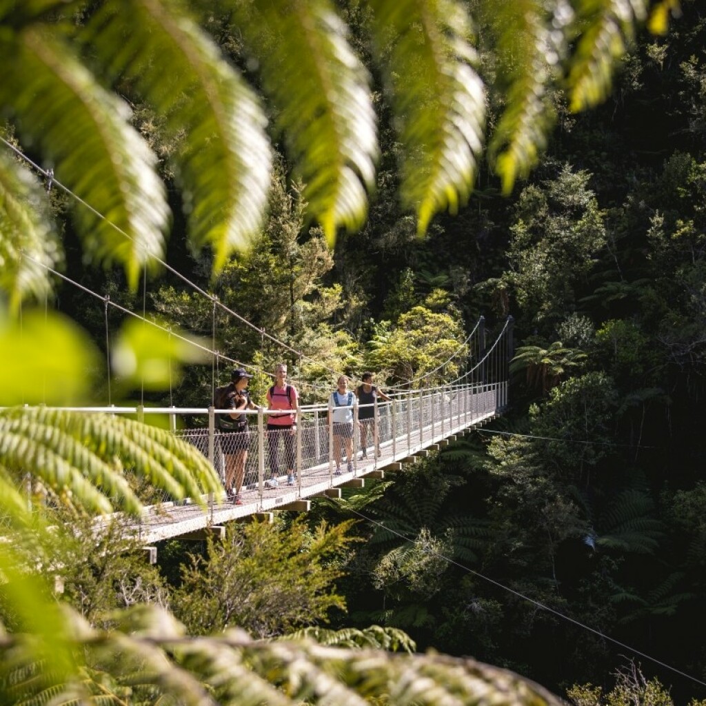 Erlebnis-Reisen Neuseeland Paihia Waipoua Kauri
