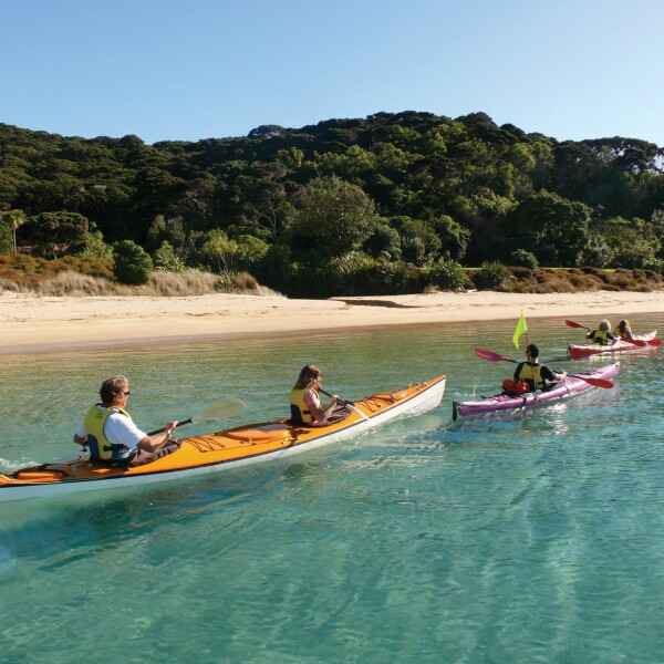 Erlebnis-Reisen Neuseeland Auckland Drei-Gänge-Menü